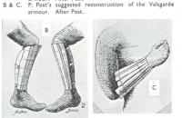 reconstruct_splints1.jpg